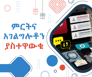 Top Selling Multipurpose WP Theme